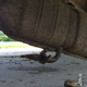Image for article titled I'm In A Mad Dash To Fix My Long-Dead Jeep J10 By Friday's Toledo Jeep Fest